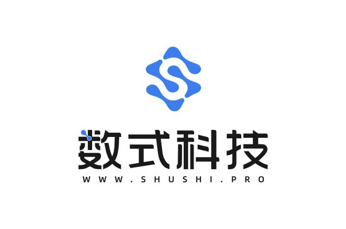 杭州數式網絡科技 數字時代的智慧護航者